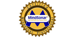 profesionales empresas certificadas mindsonar